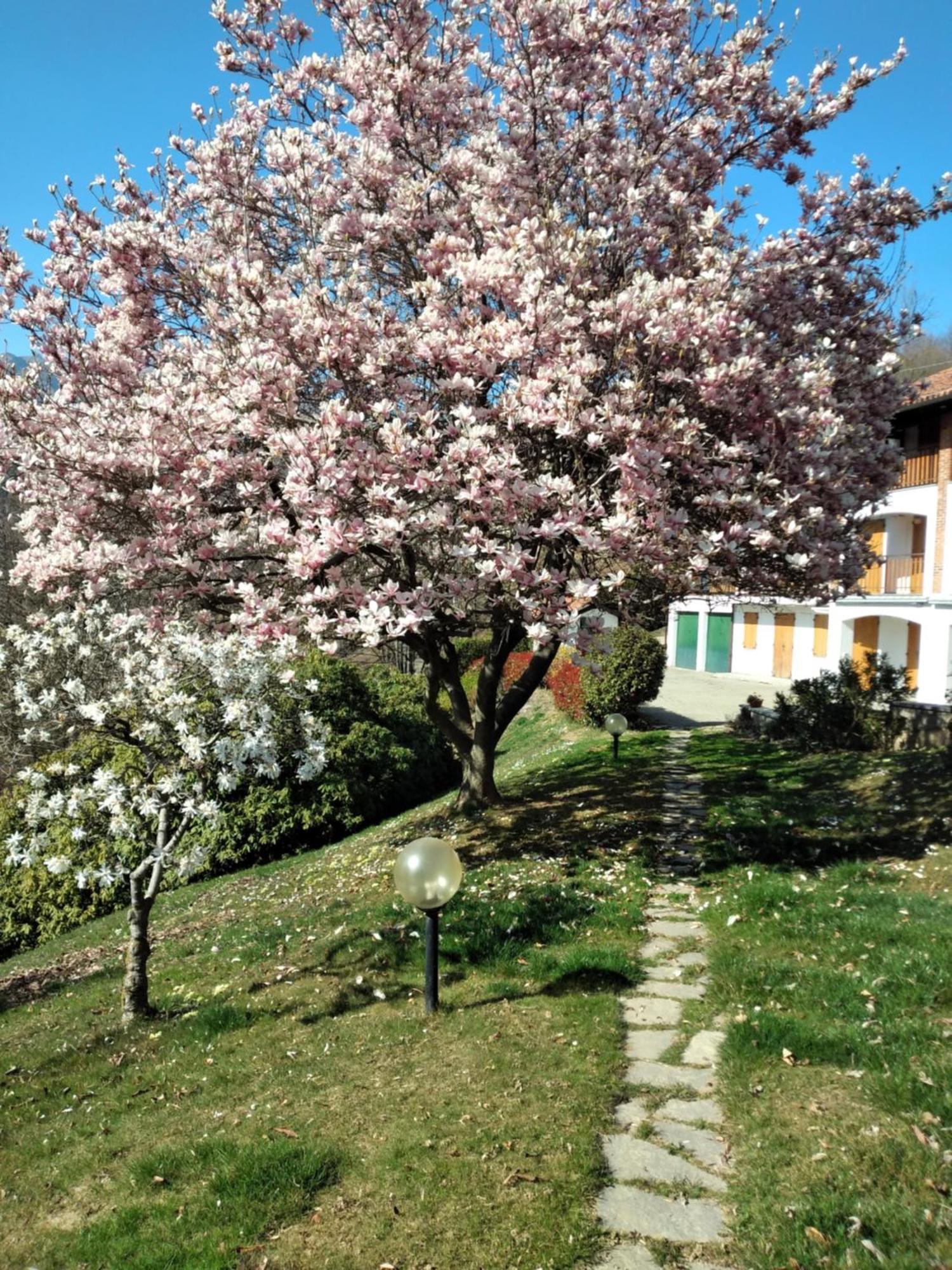 Appartamento A Due Passi Da Burcina Favaro المظهر الخارجي الصورة